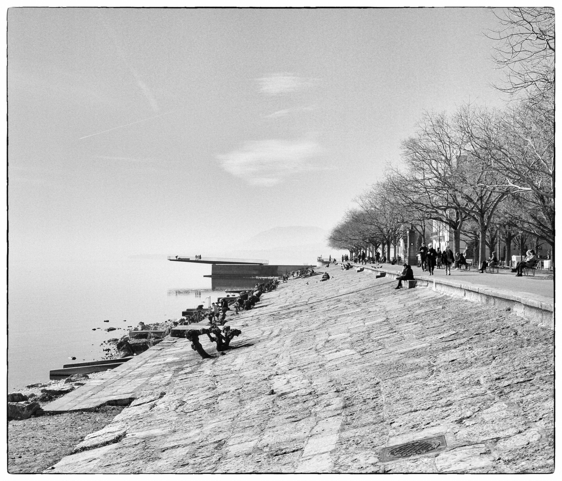 Noir et blanc : le quai Ostervald en hiver, ses dalles de pierre et sa rangée d'arbres nus le long du lac, sous un ciel pâle.